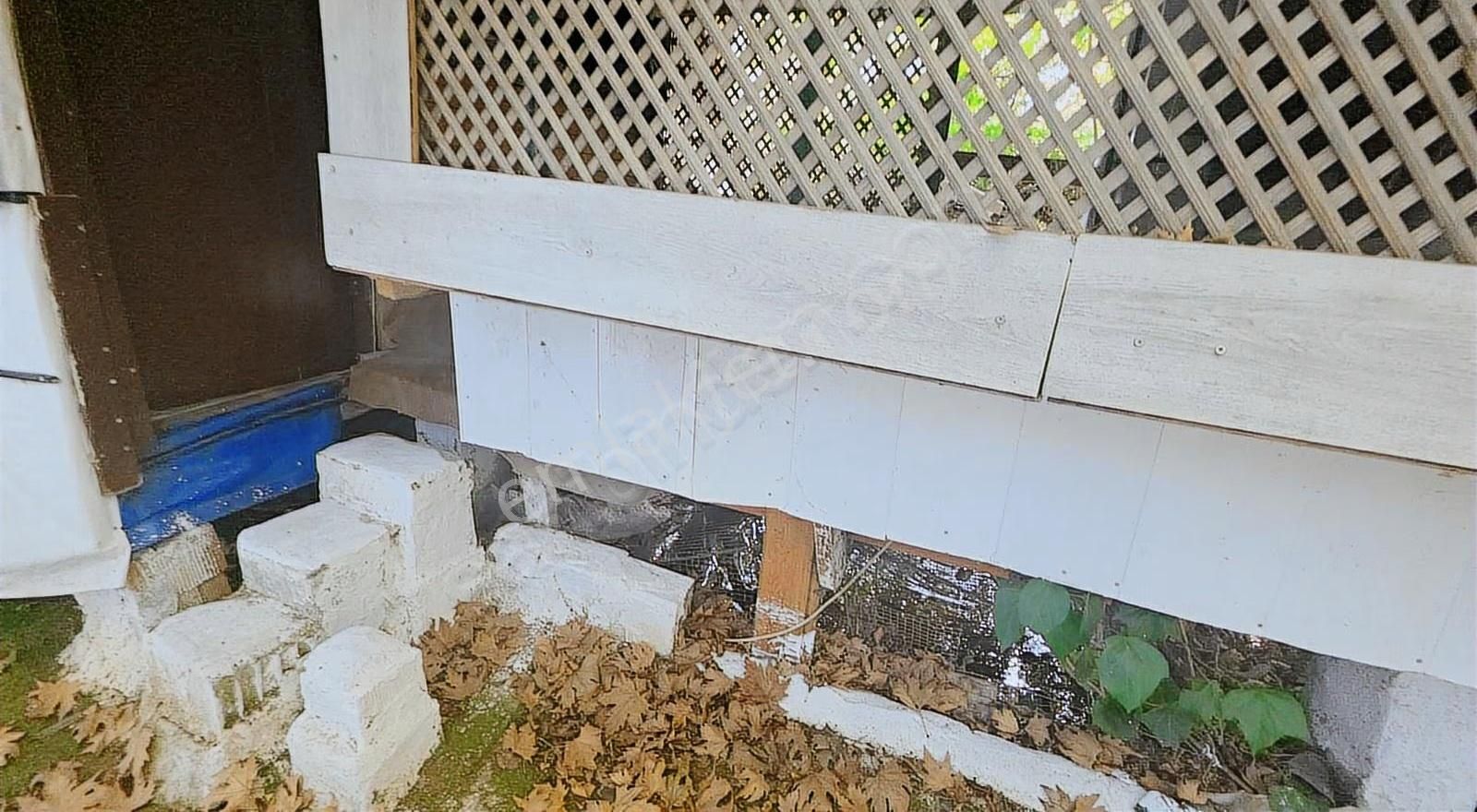 Edremit Merkeze 7 Km 19.911 M2 Zeytinlik Fıstık Çamı - Görsel 15