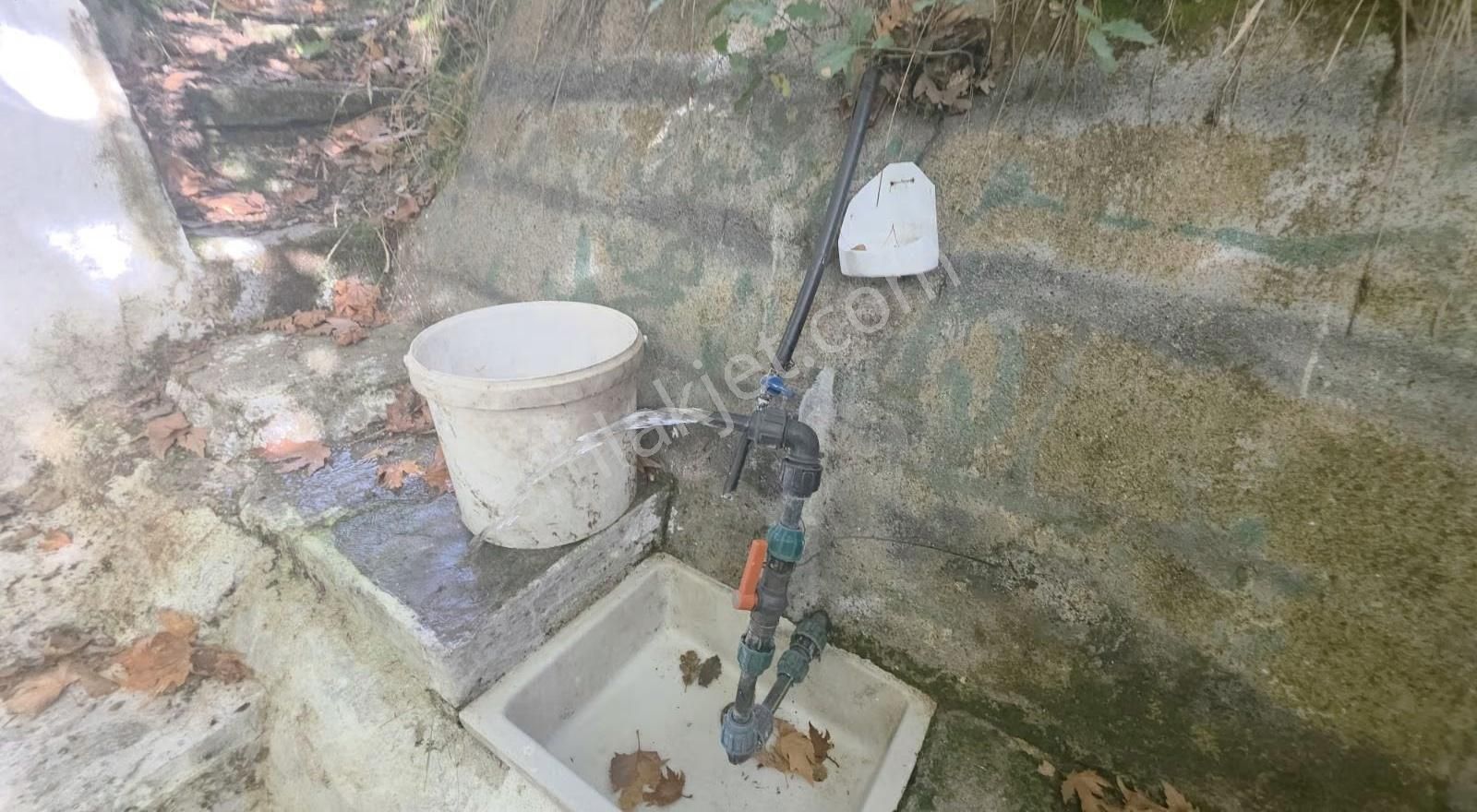 Edremit Merkeze 7 Km 19.911 M2 Zeytinlik Fıstık Çamı - Görsel 5