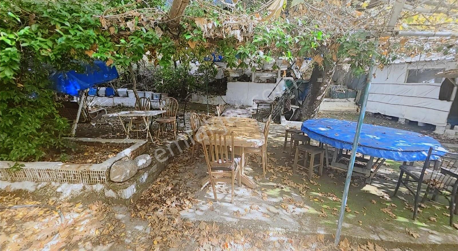 Edremit Merkeze 7 Km 19.911 M2 Zeytinlik Fıstık Çamı - Görsel 25