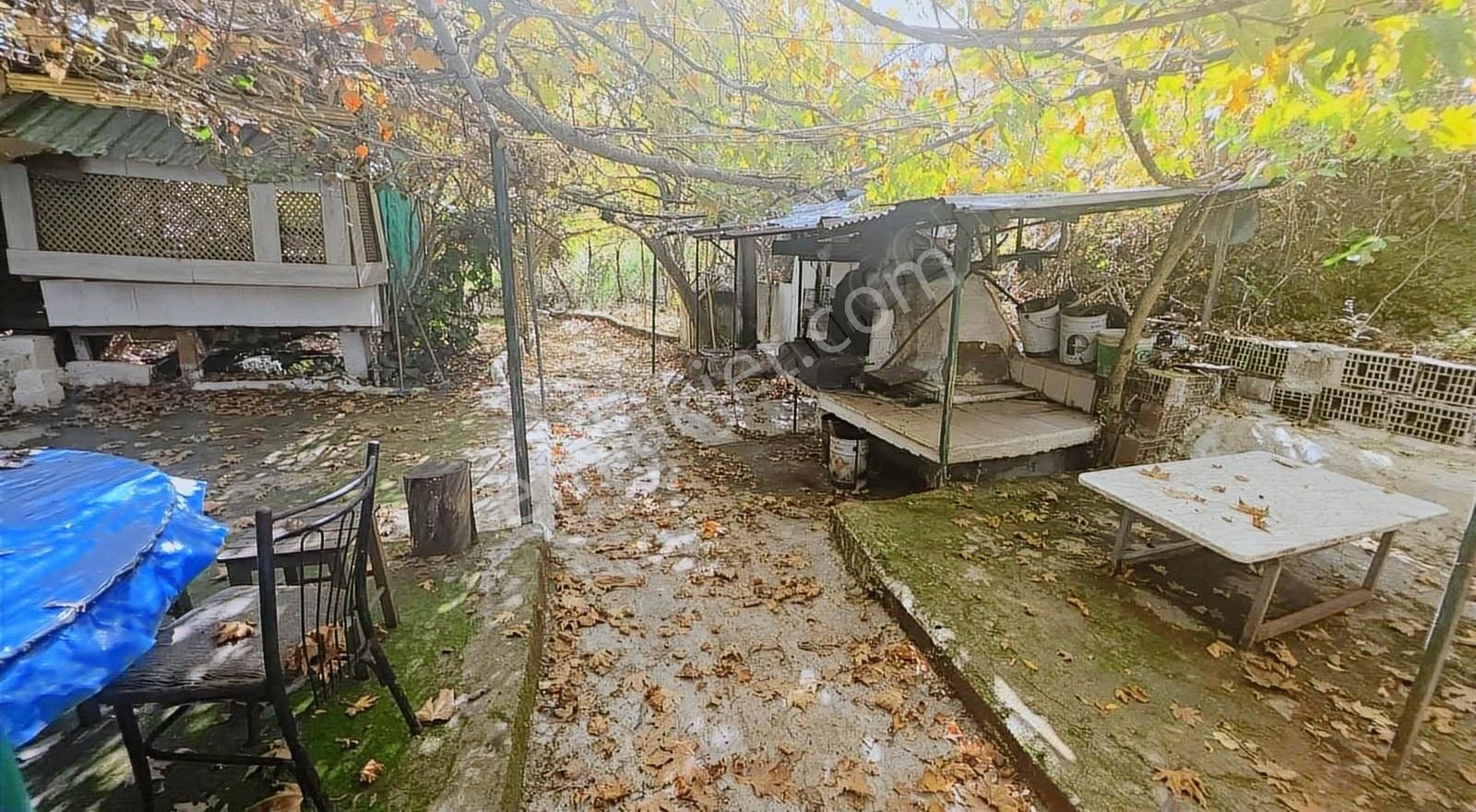 Edremit Merkeze 7 Km 19.911 M2 Zeytinlik Fıstık Çamı - Görsel 17