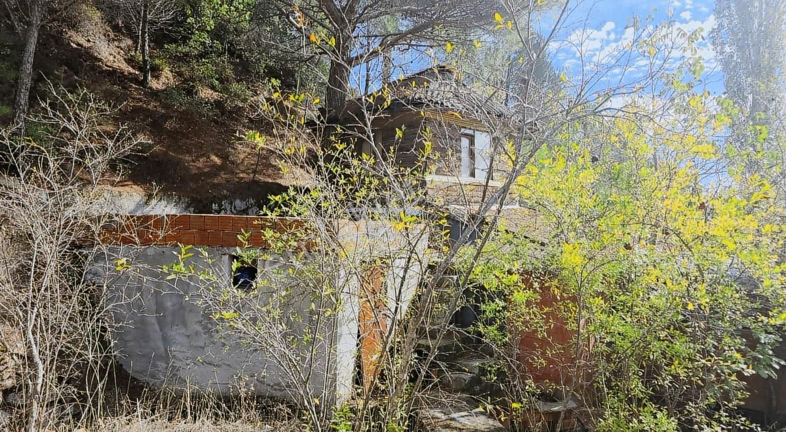 Edremit Merkeze 7 Km 19.911 M2 Zeytinlik Fıstık Çamı - Görsel 32