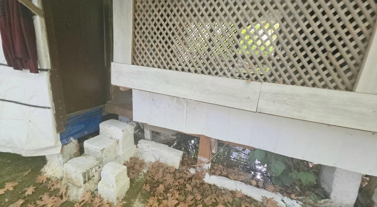 Edremit Merkeze 7 Km 19.911 M2 Zeytinlik Fıstık Çamı - Görsel 11