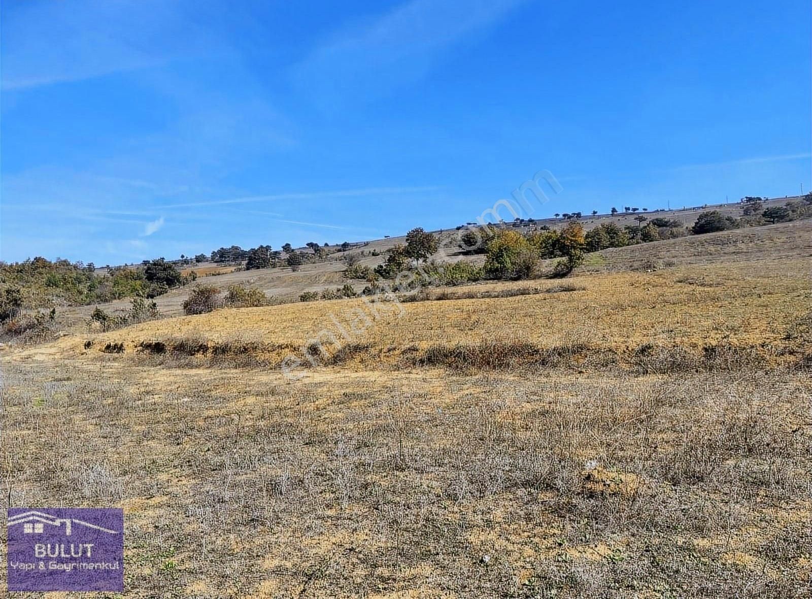 Hükümdar Buluttan Değerli Yatırım.hobi Bahçesi İçin İdeal1.803m2 - Görsel 3