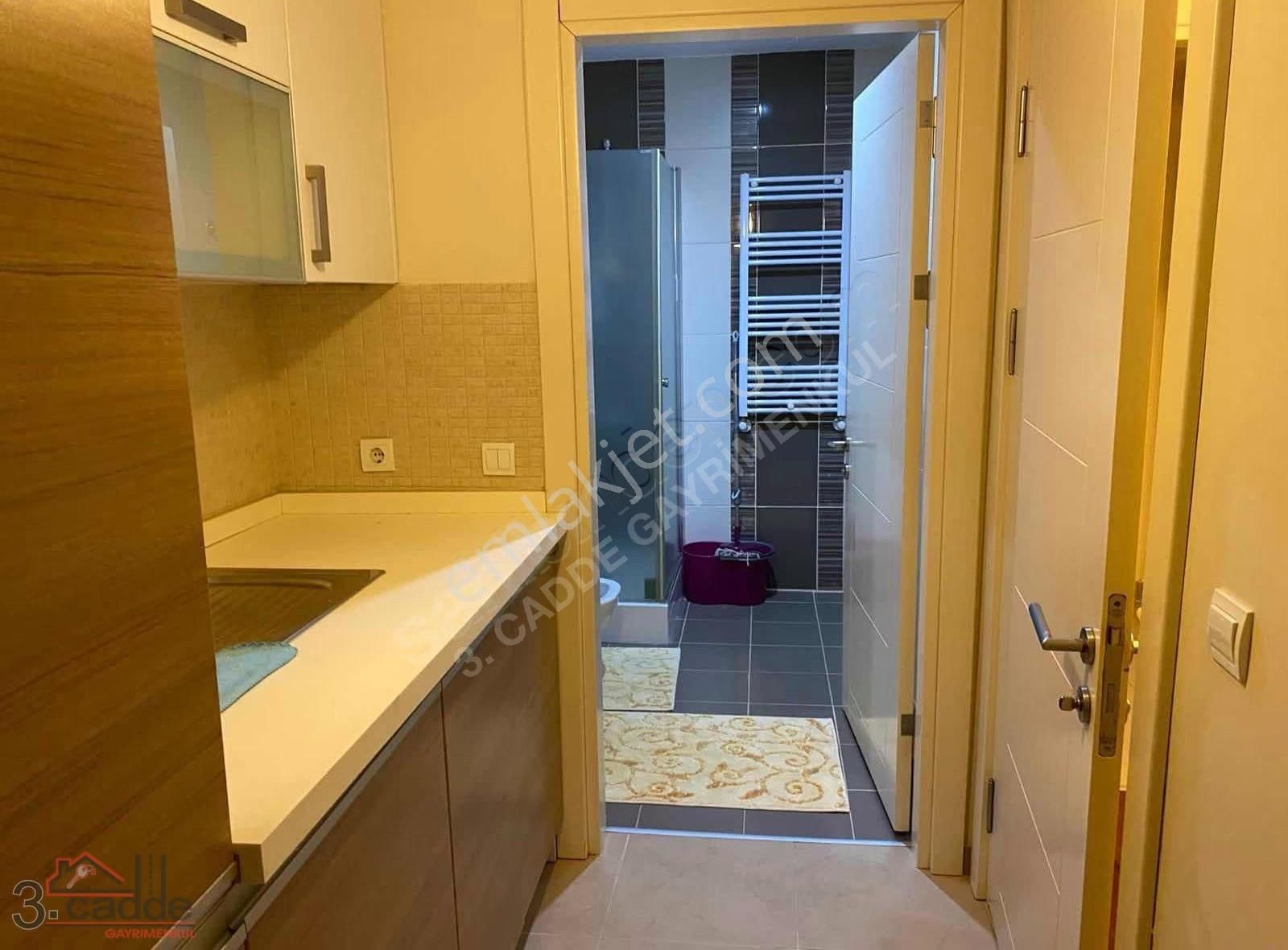 Bahçeşehir Kelebekler Vadisi. Full Tadilatlı.c Tipi Villa - Görsel 14