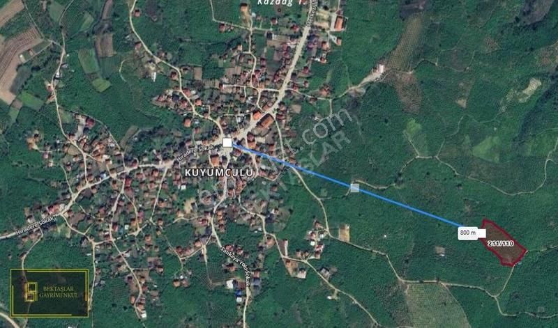 Sakarya Karasu Kuyumculu Da 9250 M² Satılık Fındık Bahçesi - Görsel 2