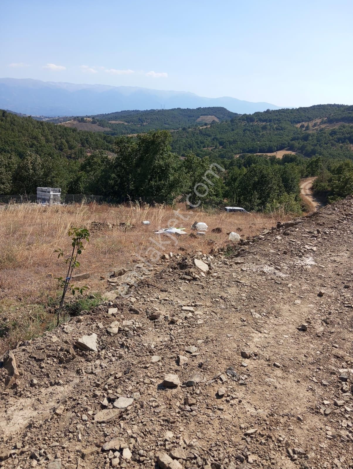 Kestel Nüzhetiye Mah.1500 M2 Yol/su/elektrik Mevcut - Görsel 9