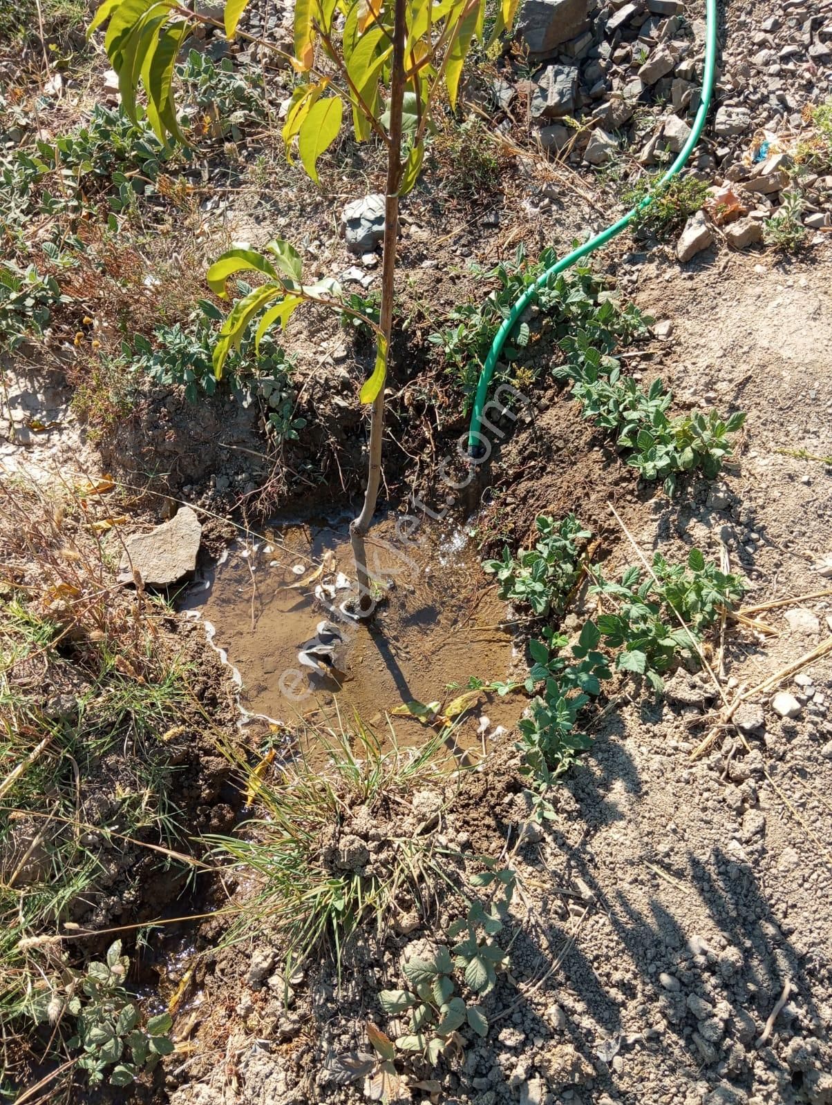 Kestel Nüzhetiye Mah.1500 M2 Yol/su/elektrik Mevcut - Görsel 8