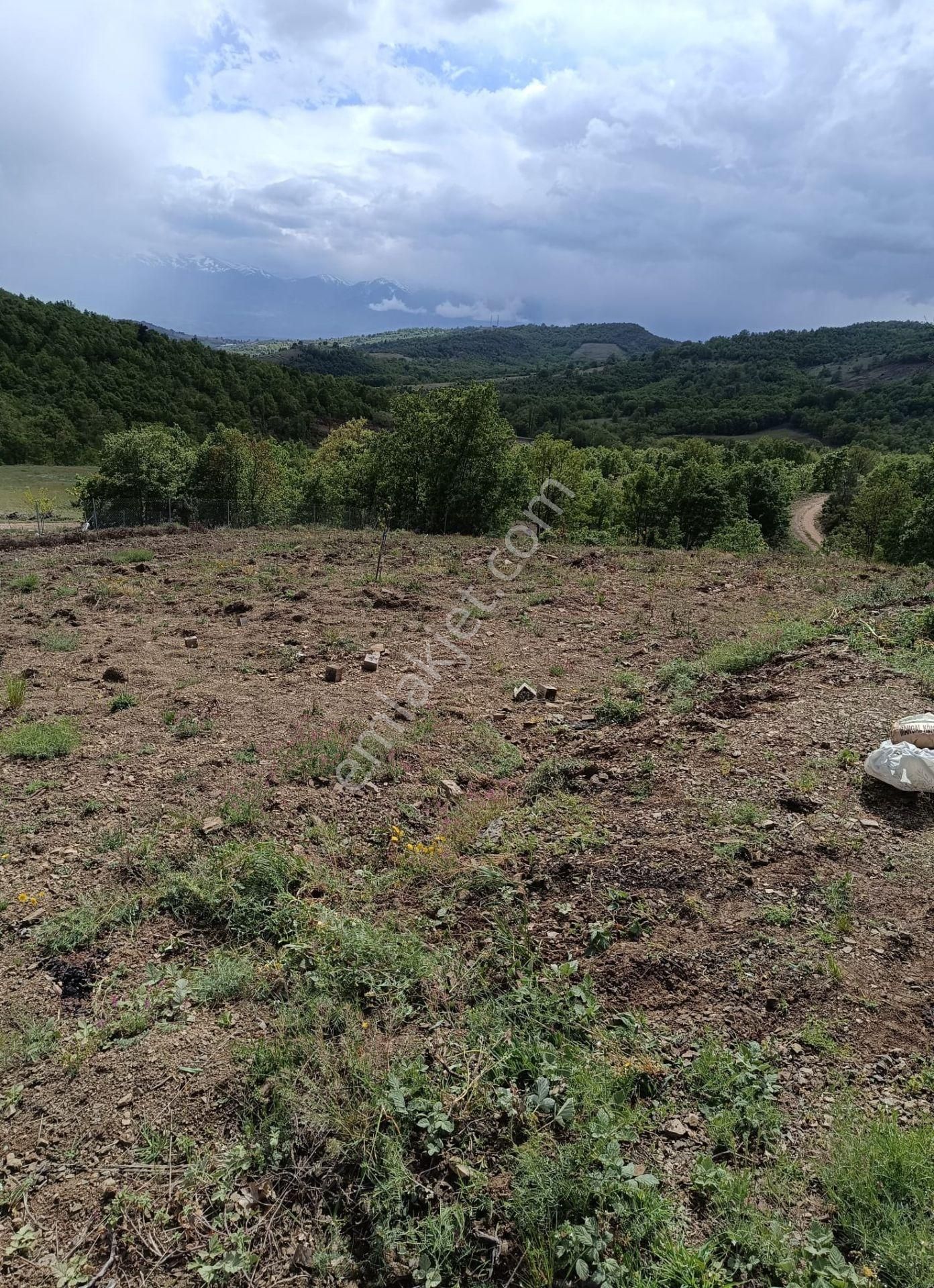 Kestel Nüzhetiye Mah.1500 M2 Yol/su/elektrik Mevcut - Görsel 11