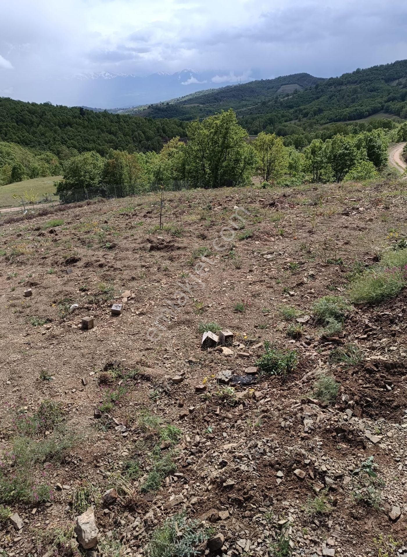 Kestel Nüzhetiye Mah.1500 M2 Yol/su/elektrik Mevcut - Görsel 10