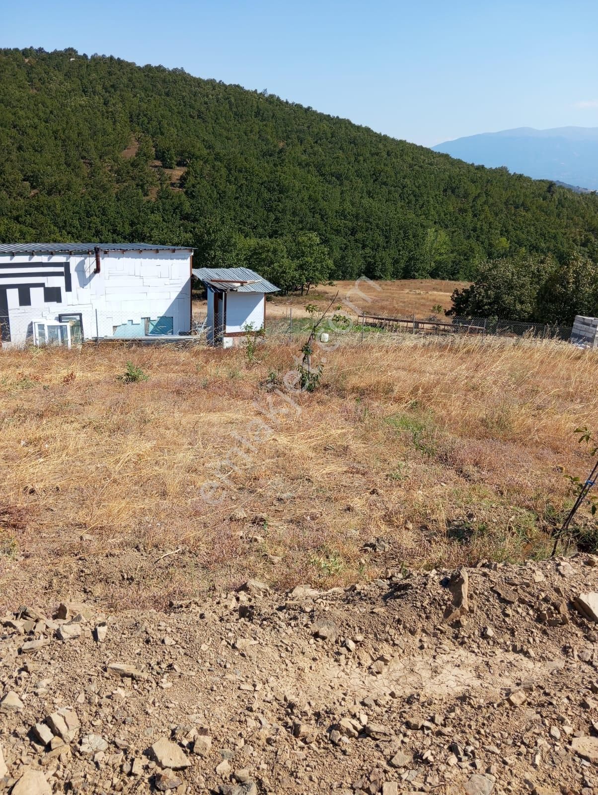 Kestel Nüzhetiye Mah.1500 M2 Yol/su/elektrik Mevcut - Görsel 4