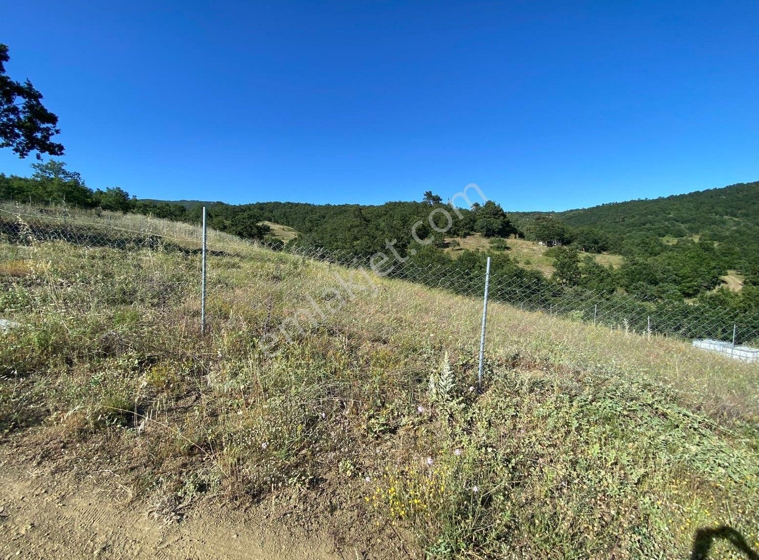Kestel Nüzhetiye Mah.1500 M2 Yol/su/elektrik Mevcut - Görsel 19