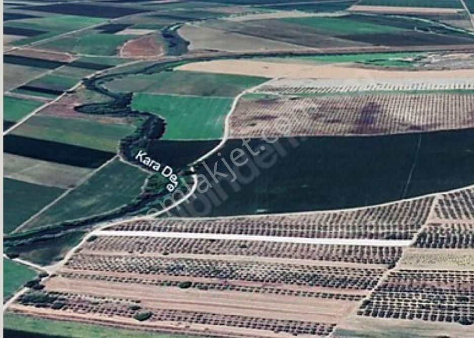 Karacabey İsmetpaşada Yatırımlık Tarla - Görsel 2
