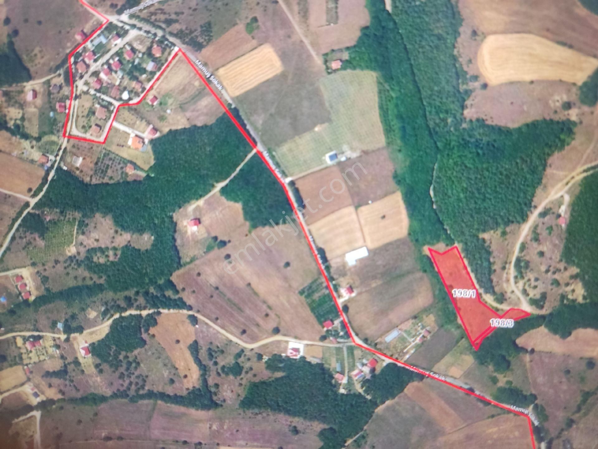 Ali Erişgin'den Satılık Tarla (6067 M2) - Görsel 12