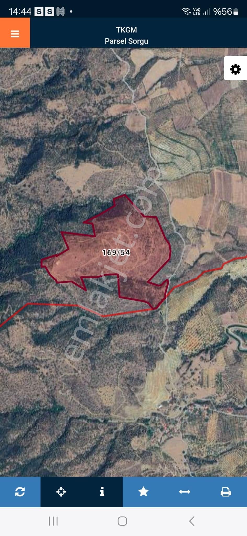 Aydın Bozdoğan Alamut'ta Fırsat Zeytinlik - Görsel 2