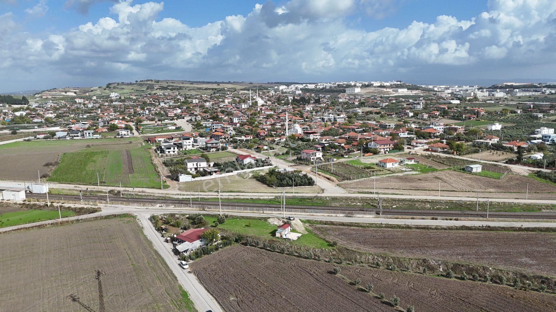 İzmir Menderes Tekelide Tek Tapu 841 M2 İçinde Konteyner Evi Bahçesi - Görsel 21