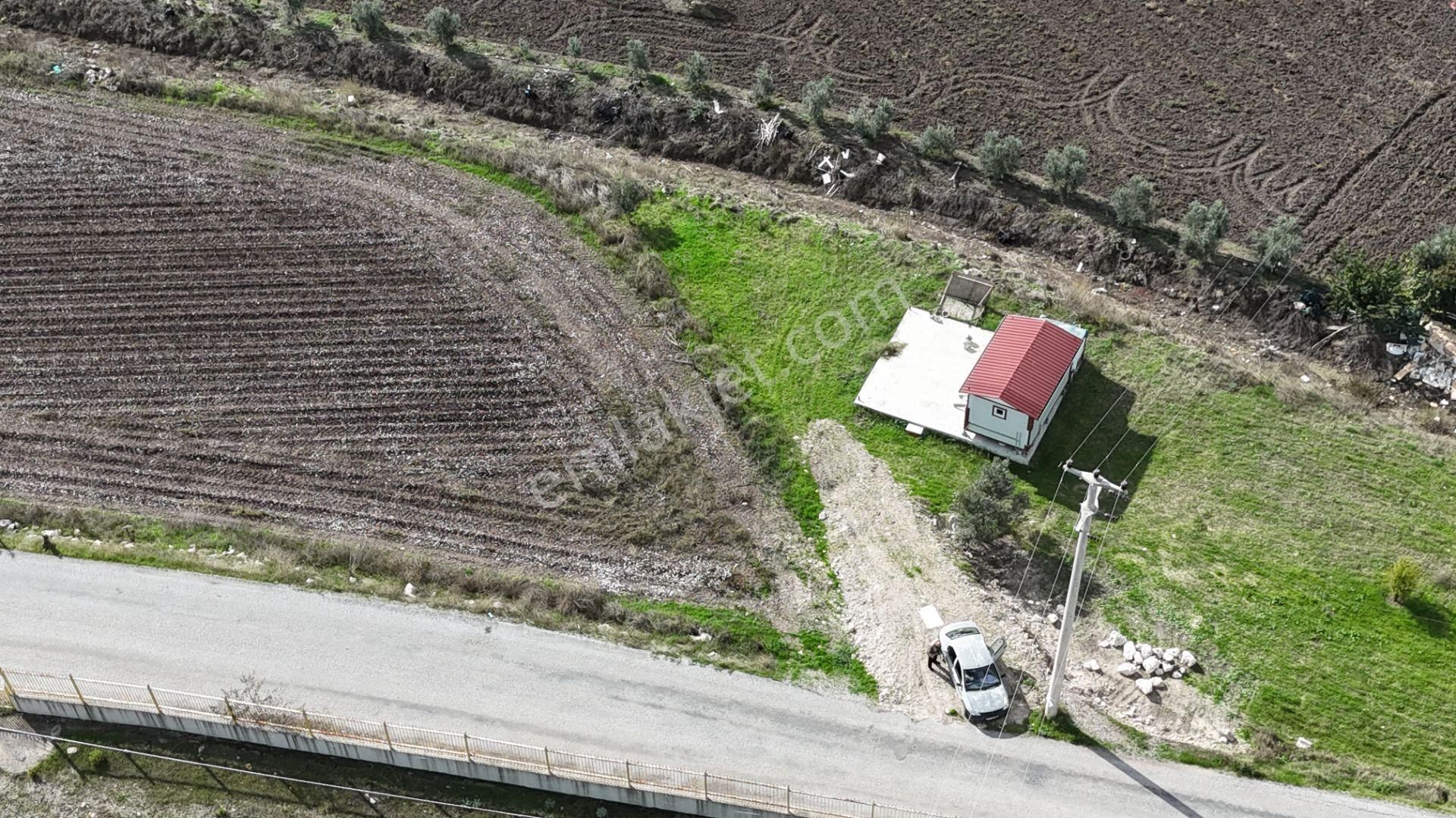 İzmir Menderes Tekelide Tek Tapu 841 M2 İçinde Konteyner Evi Bahçesi - Görsel 34