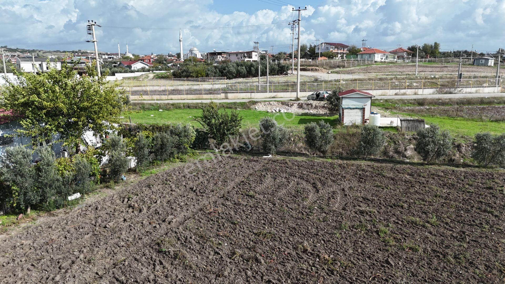 İzmir Menderes Tekelide Tek Tapu 841 M2 İçinde Konteyner Evi Bahçesi - Görsel 32