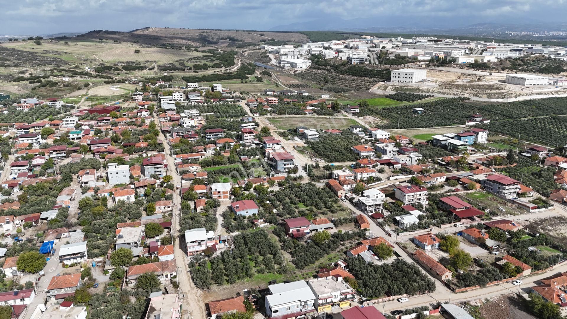 İzmir Menderes Tekelide Tek Tapu 841 M2 İçinde Konteyner Evi Bahçesi - Görsel 25
