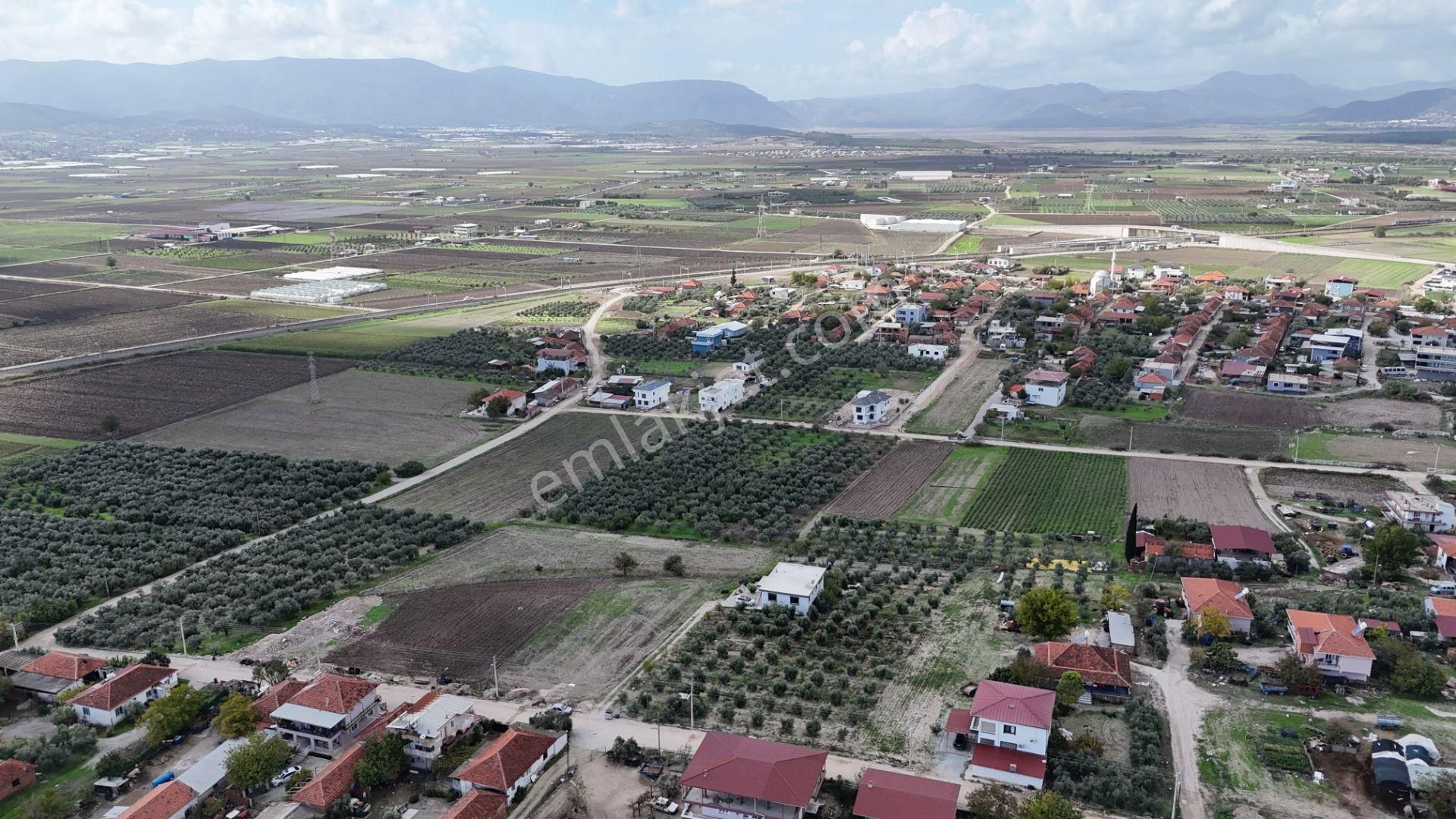 İzmir Menderes Tekelide Tek Tapu 841 M2 İçinde Konteyner Evi Bahçesi - Görsel 17