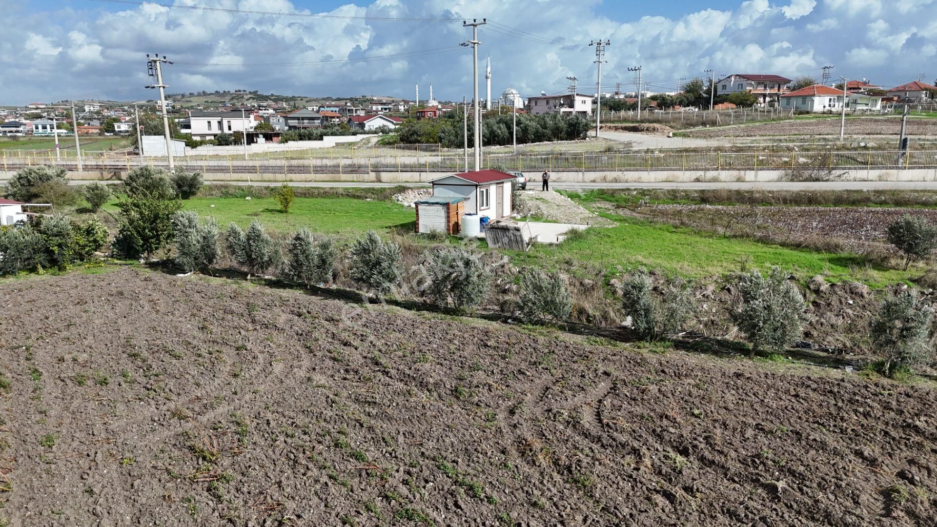İzmir Menderes Tekelide Tek Tapu 841 M2 İçinde Konteyner Evi Bahçesi - Görsel 18
