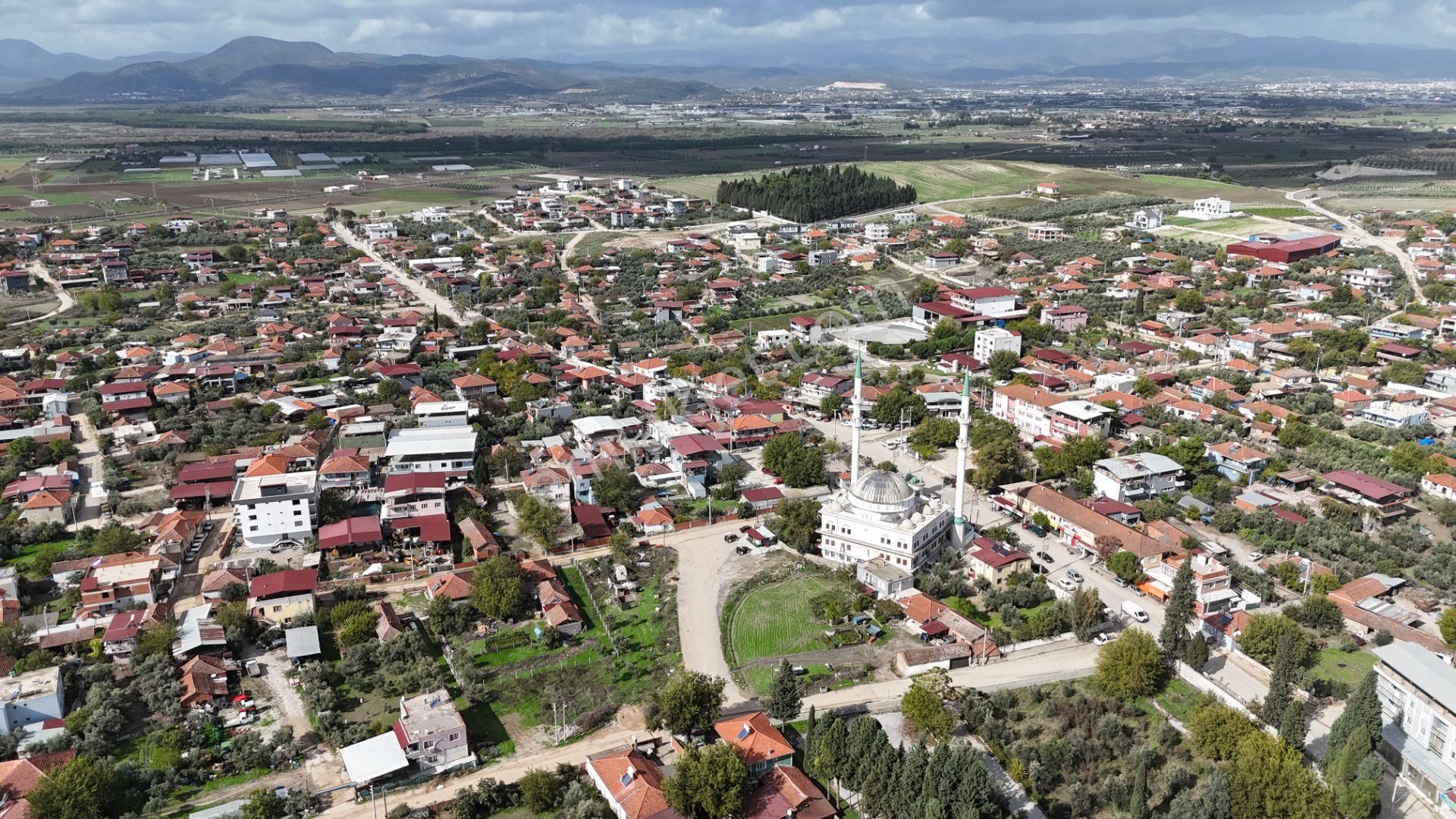 İzmir Menderes Tekelide Tek Tapu 841 M2 İçinde Konteyner Evi Bahçesi - Görsel 3