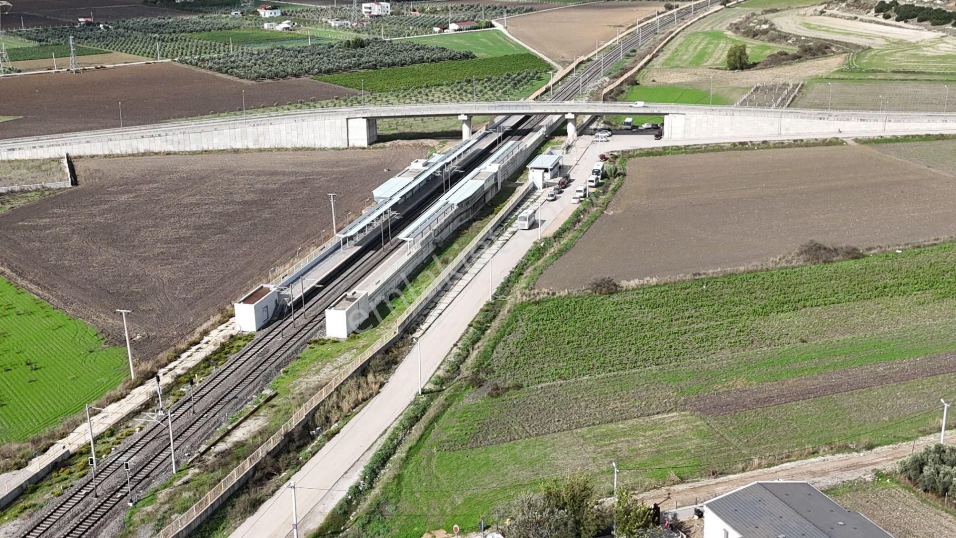 İzmir Menderes Tekelide Tek Tapu 841 M2 İçinde Konteyner Evi Bahçesi - Görsel 2