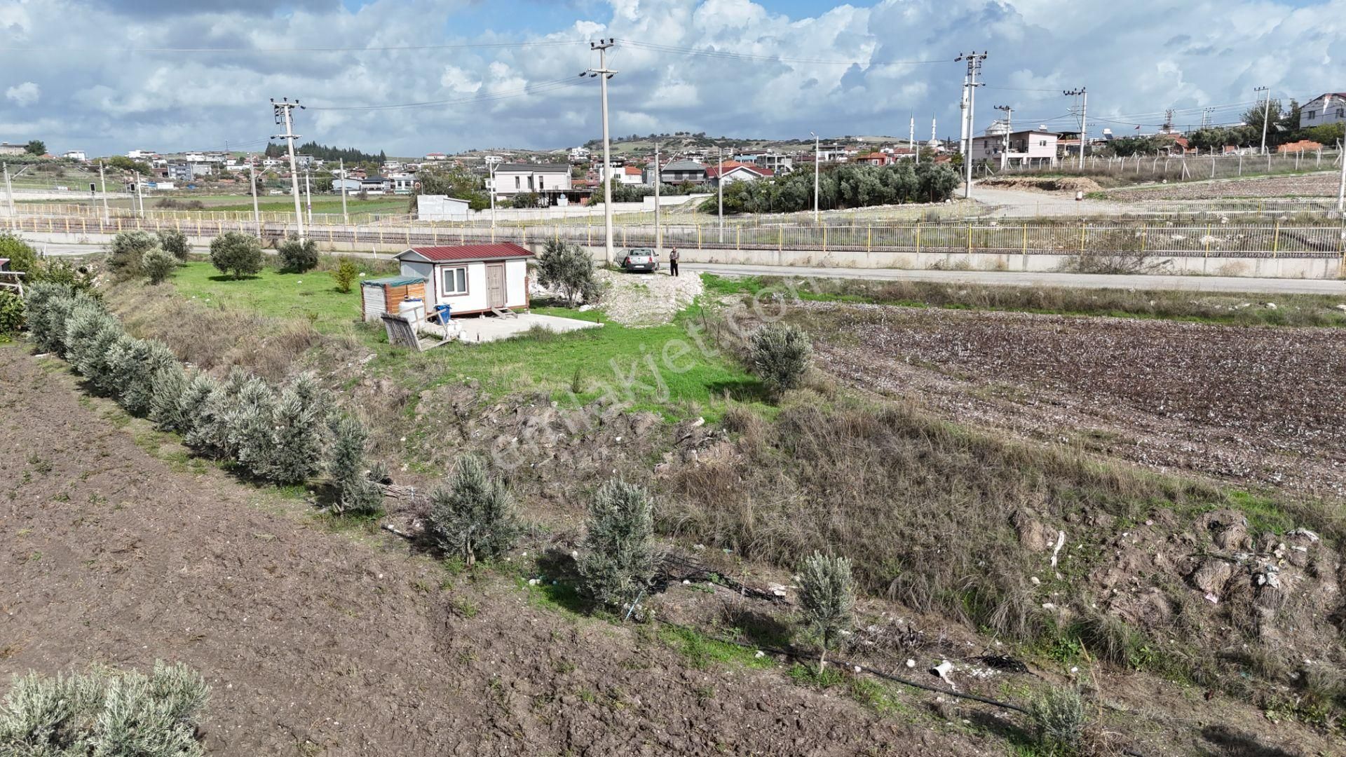 İzmir Menderes Tekelide Tek Tapu 841 M2 İçinde Konteyner Evi Bahçesi - Görsel 7