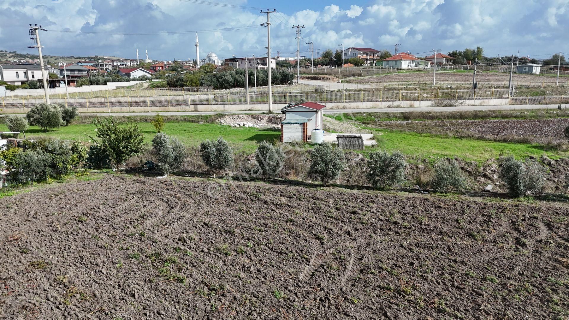 İzmir Menderes Tekelide Tek Tapu 841 M2 İçinde Konteyner Evi Bahçesi - Görsel 22
