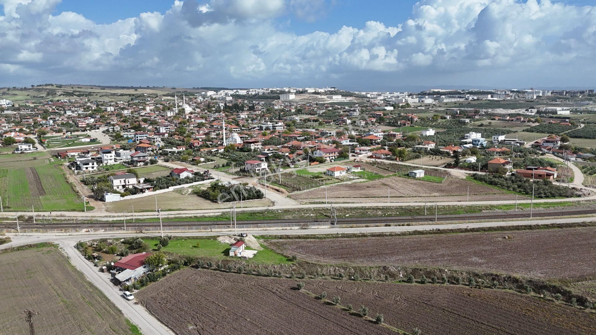 İzmir Menderes Tekelide Tek Tapu 841 M2 İçinde Konteyner Evi Bahçesi - Görsel 8