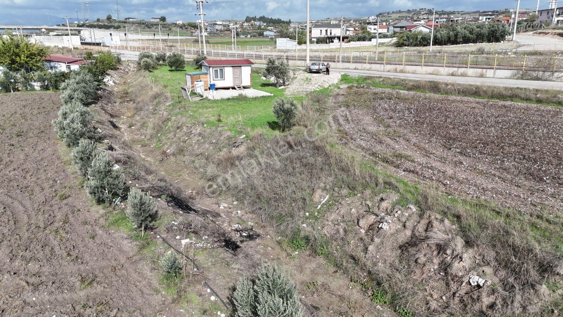 İzmir Menderes Tekelide Tek Tapu 841 M2 İçinde Konteyner Evi Bahçesi - Görsel 15