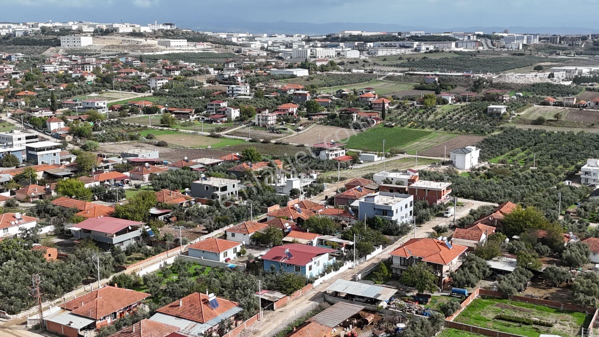 İzmir Menderes Tekelide Tek Tapu 841 M2 İçinde Konteyner Evi Bahçesi - Görsel 23