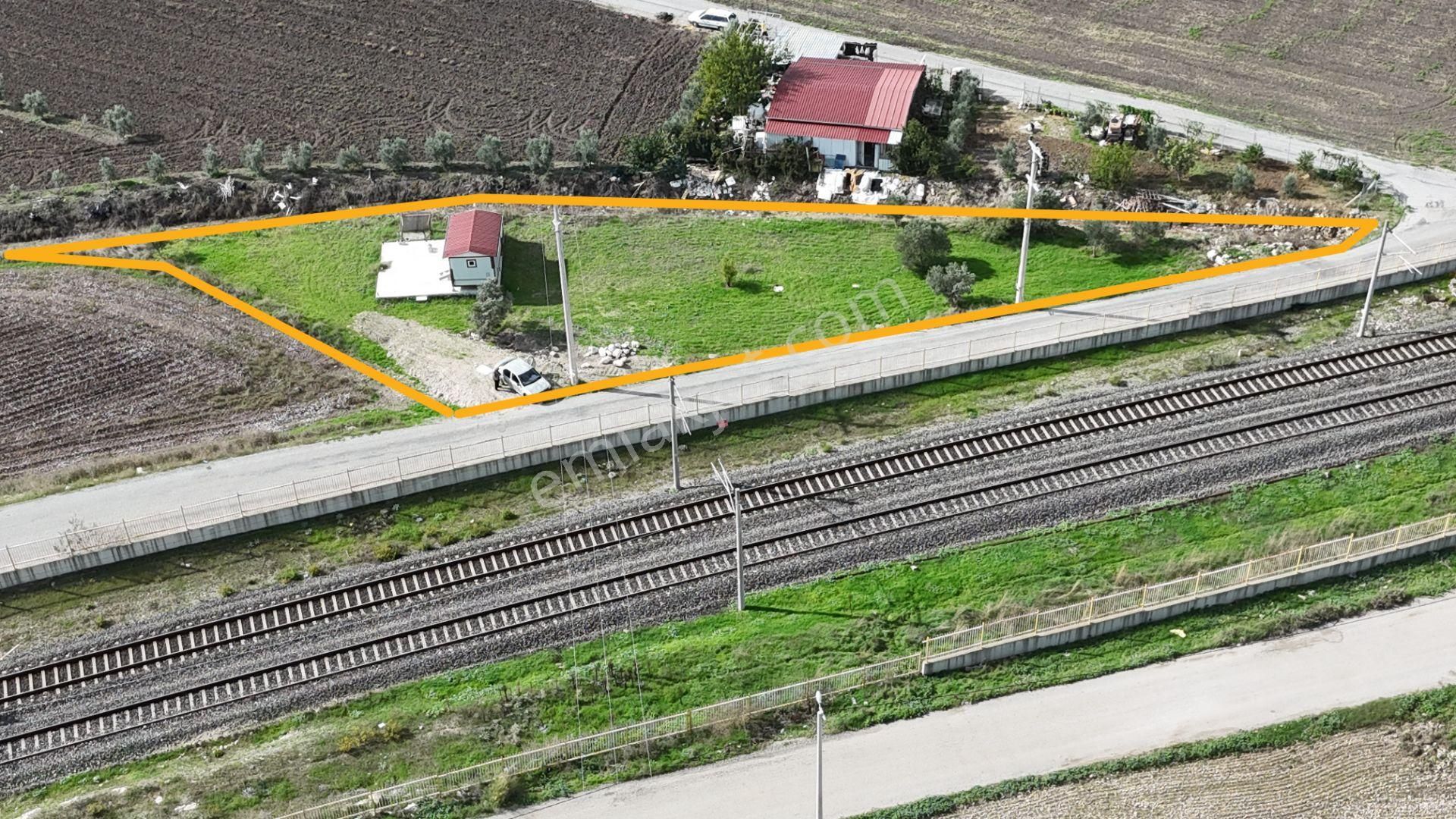 İzmir Menderes Tekelide Tek Tapu 841 M2 İçinde Konteyner Evi Bahçesi - Görsel 4