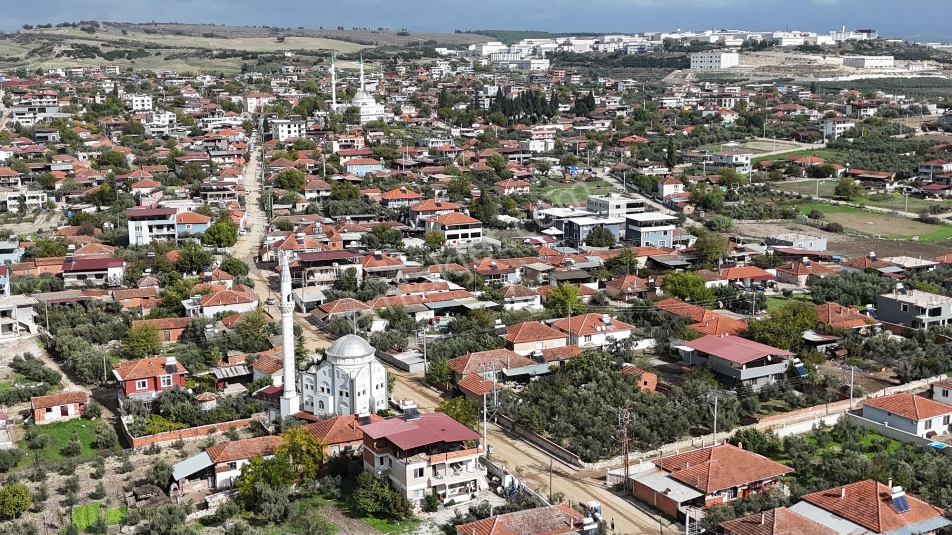 İzmir Menderes Tekelide Tek Tapu 841 M2 İçinde Konteyner Evi Bahçesi - Görsel 11