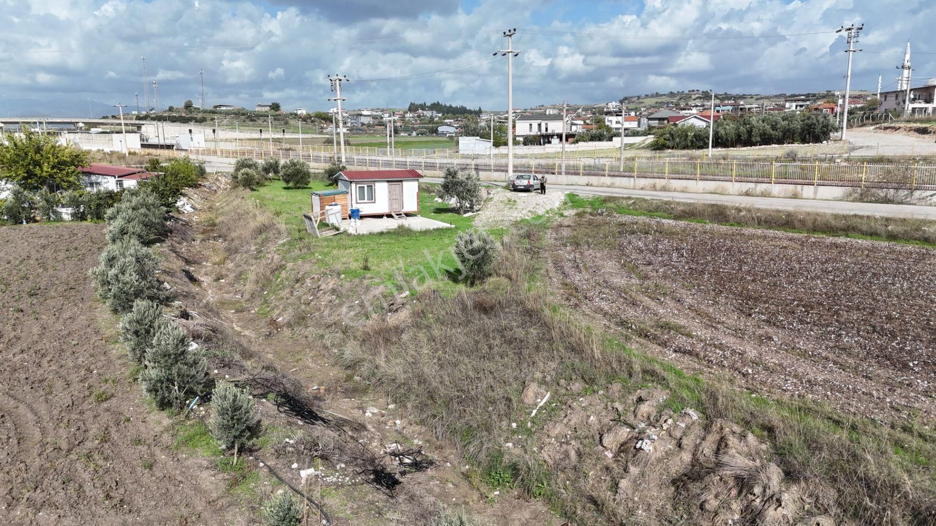 İzmir Menderes Tekelide Tek Tapu 841 M2 İçinde Konteyner Evi Bahçesi - Görsel 26