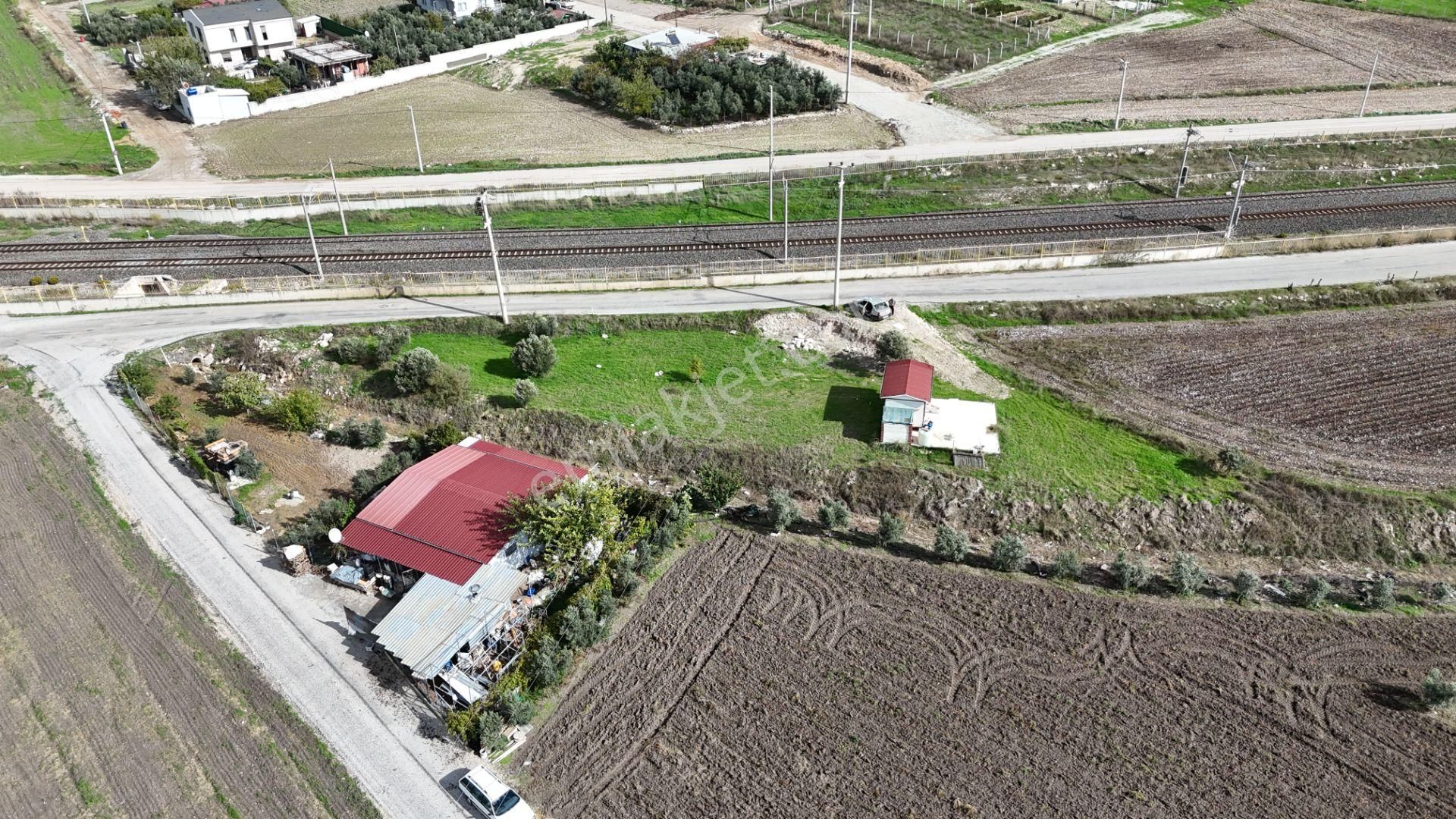 İzmir Menderes Tekelide Tek Tapu 841 M2 İçinde Konteyner Evi Bahçesi - Görsel 16