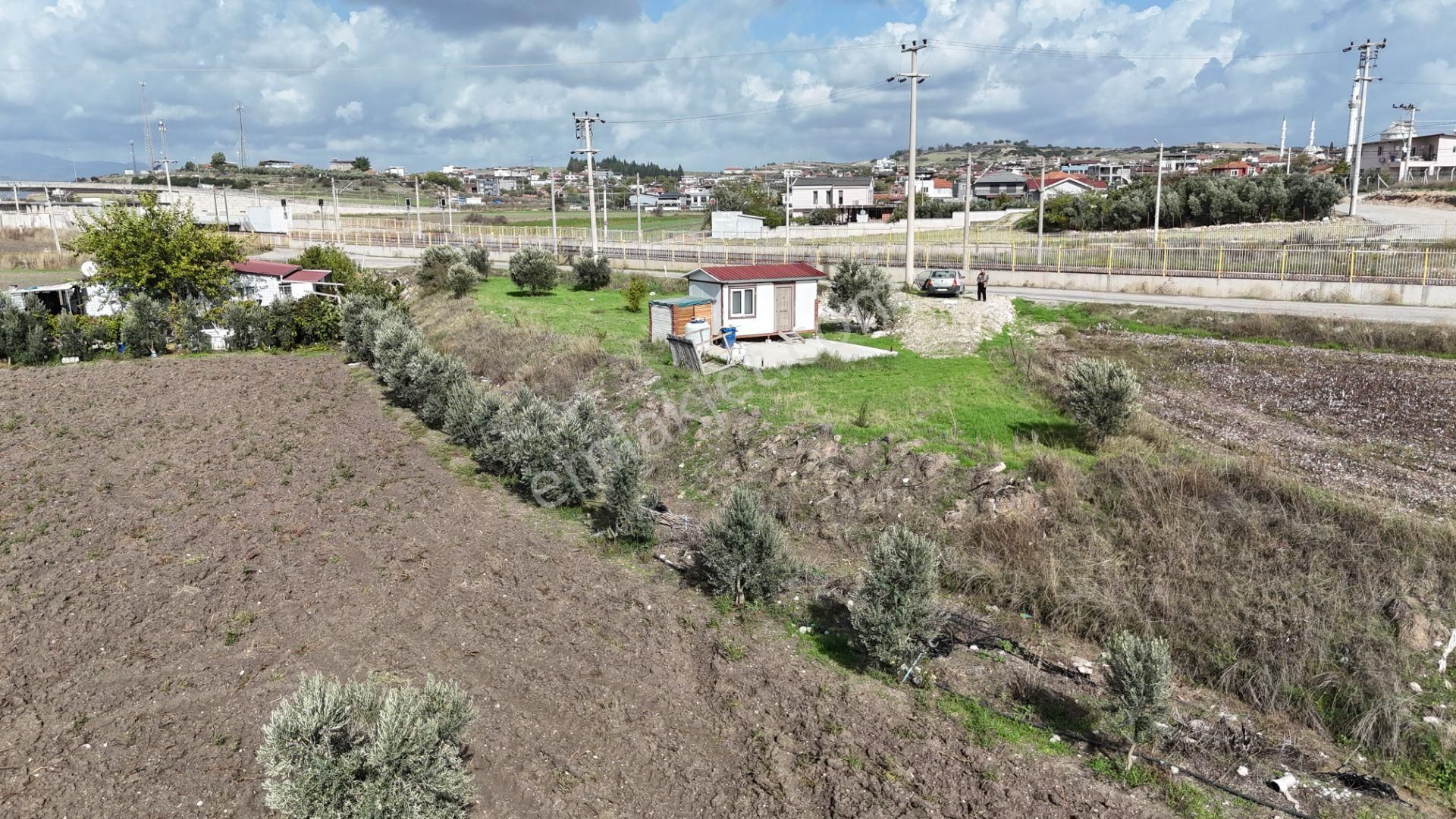 İzmir Menderes Tekelide Tek Tapu 841 M2 İçinde Konteyner Evi Bahçesi - Görsel 28