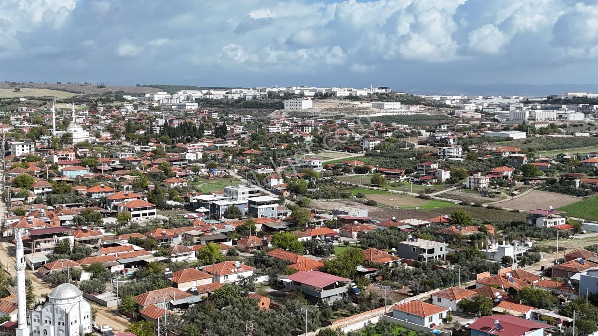 İzmir Menderes Tekelide Tek Tapu 841 M2 İçinde Konteyner Evi Bahçesi - Görsel 31
