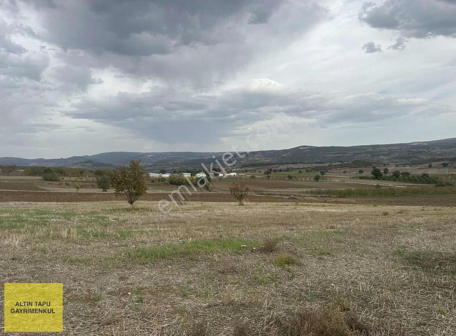 5.658 Tarla + 768 Dönüm Mera Kullanımı - Görsel 2