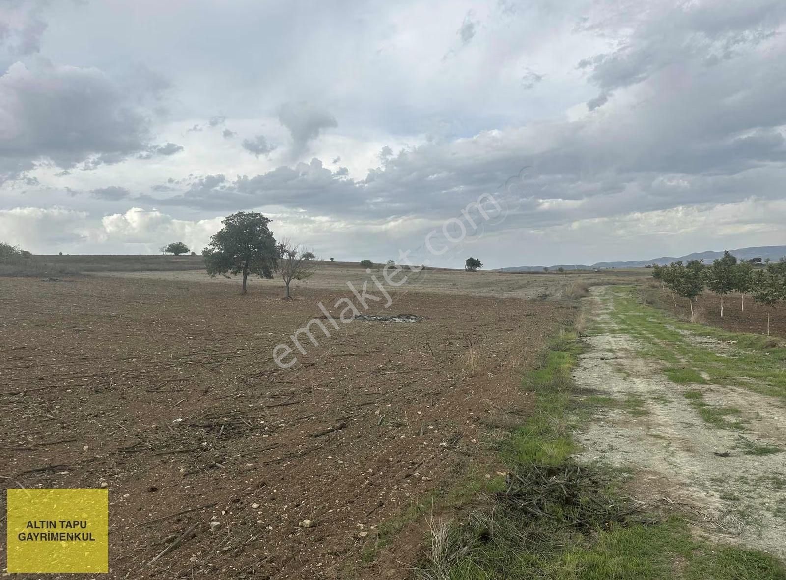 5.658 Tarla + 768 Dönüm Mera Kullanımı - Görsel 3