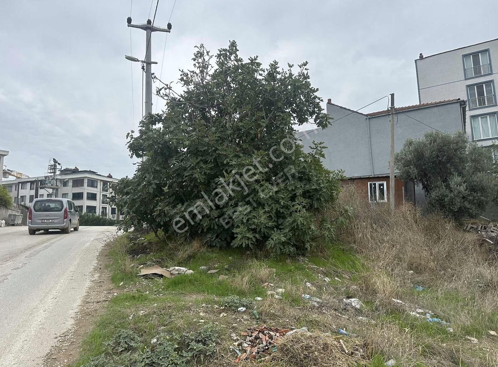 Doğanköy Yatırımlık Arsa Hissesi - Görsel 3