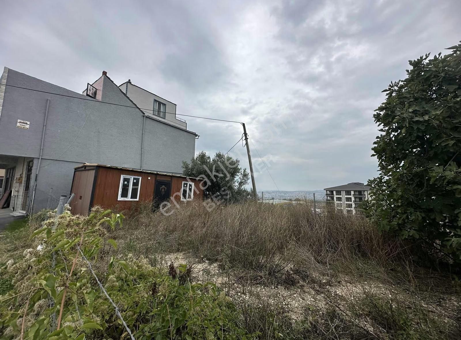 Doğanköy Yatırımlık Arsa Hissesi - Görsel 12