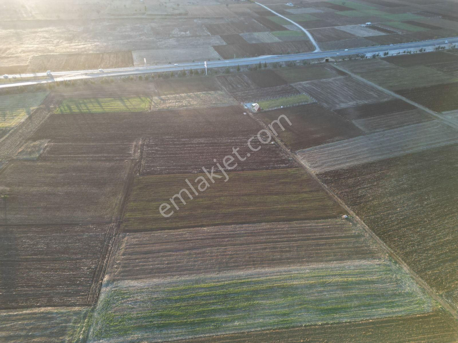 Acıpayam Yassıhöyükde 1554m2 Yolu Suyu Bulunan Hobi Bahçesi - Görsel 12