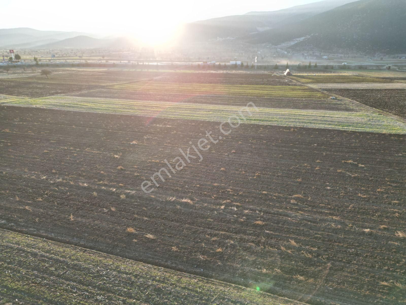 Acıpayam Yassıhöyükde 1554m2 Yolu Suyu Bulunan Hobi Bahçesi - Görsel 7