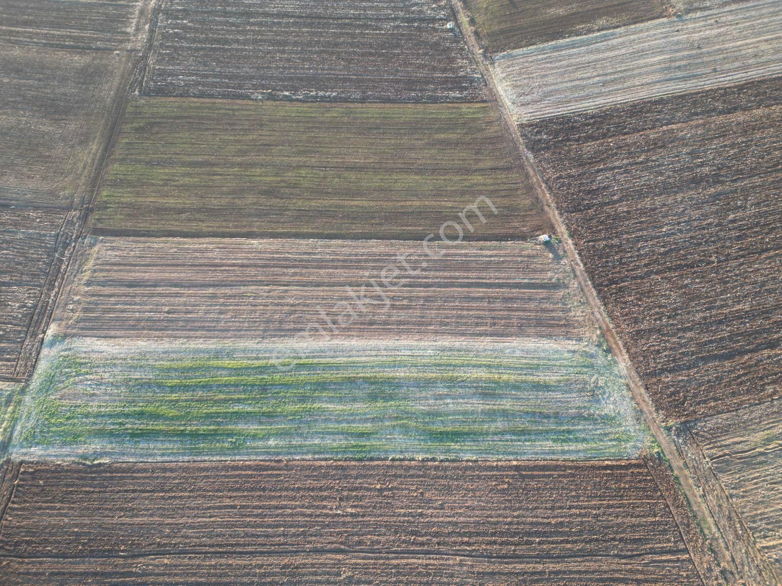 Acıpayam Yassıhöyükde 1554m2 Yolu Suyu Bulunan Hobi Bahçesi - Görsel 10
