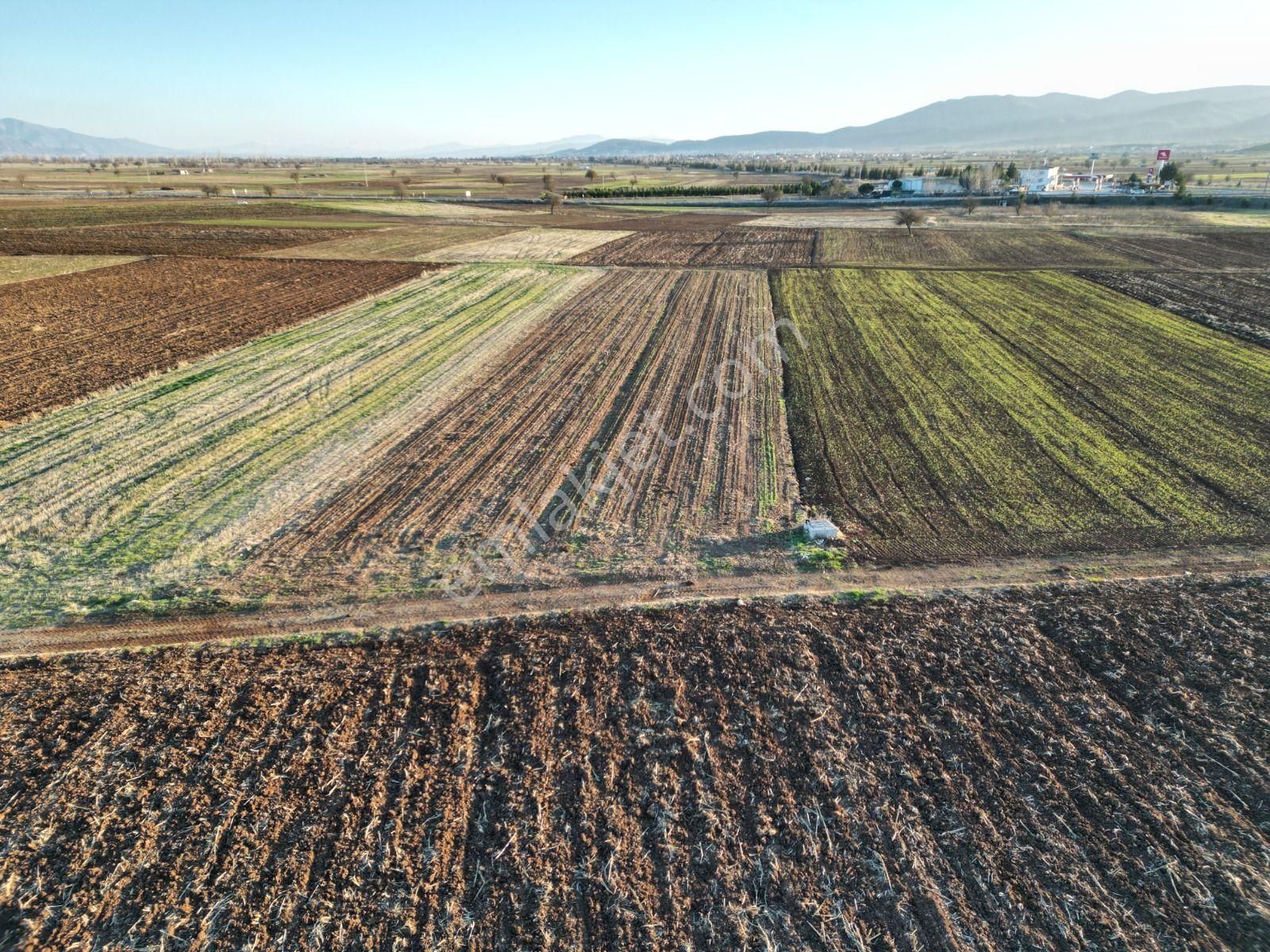 Acıpayam Yassıhöyükde 1554m2 Yolu Suyu Bulunan Hobi Bahçesi - Görsel 3