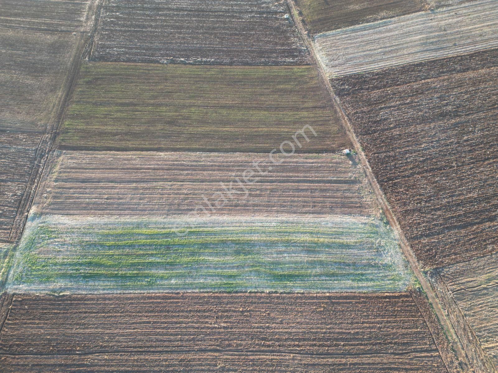Acıpayam Yassıhöyükde 1554m2 Yolu Suyu Bulunan Hobi Bahçesi - Görsel 9