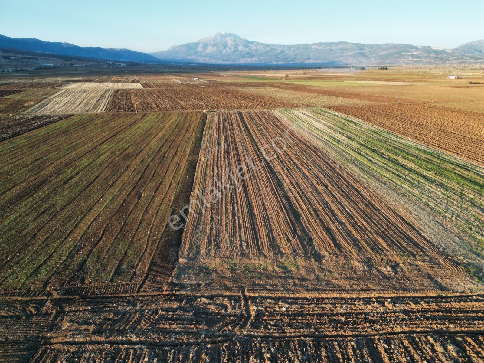 Acıpayam Yassıhöyükde 1554m2 Yolu Suyu Bulunan Hobi Bahçesi - Görsel 6