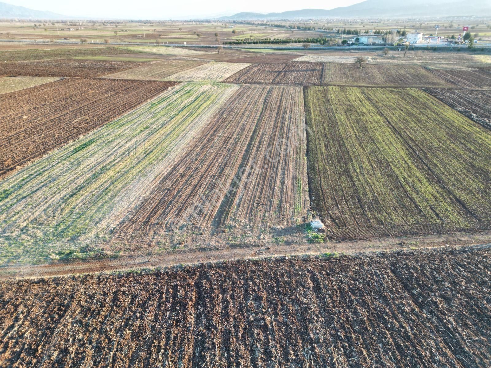Acıpayam Yassıhöyükde 1554m2 Yolu Suyu Bulunan Hobi Bahçesi - Görsel 2