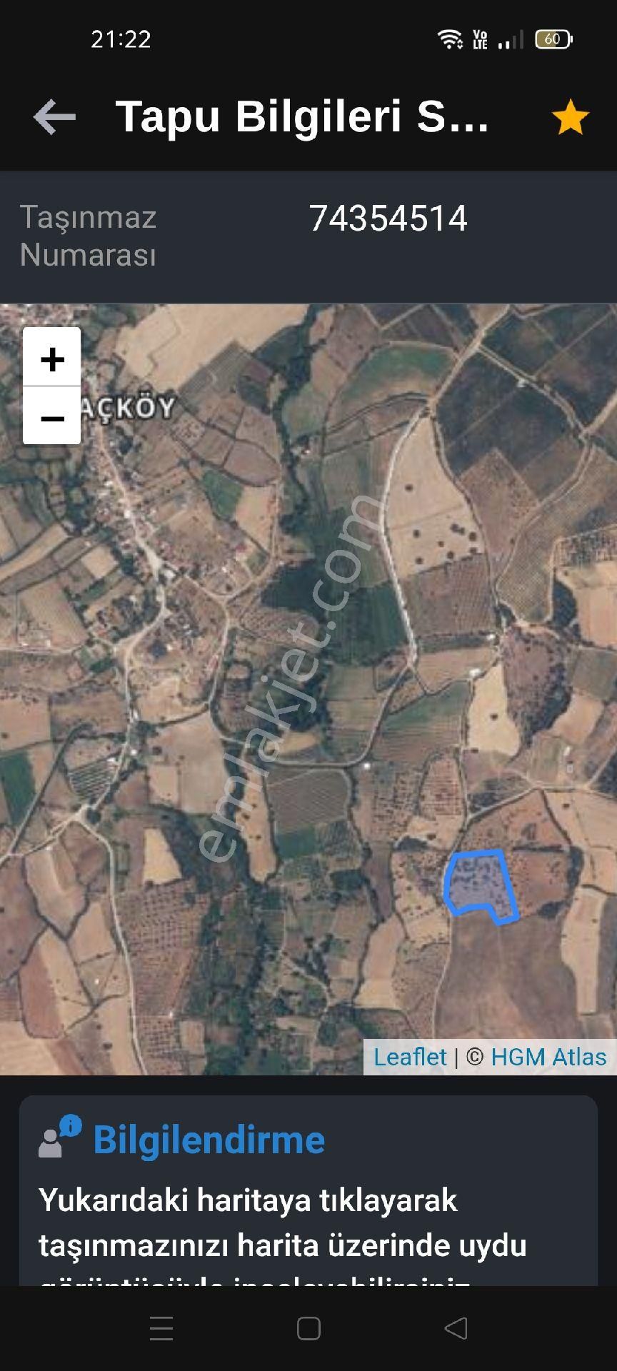 Çanakkale Bayramiç Kutluoba Köyü Satılık Zeytinlik