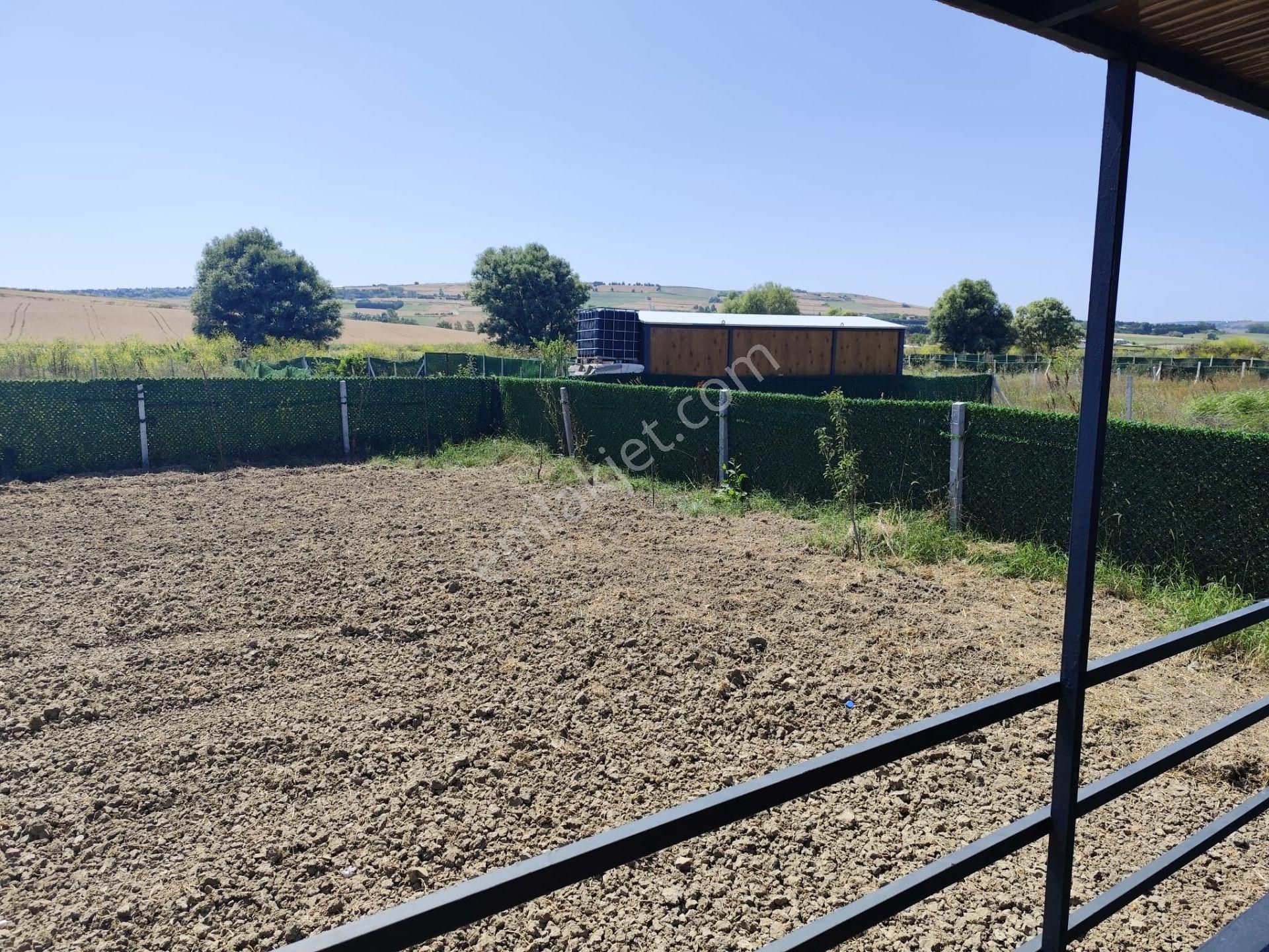 Kestanelikte İhtiyaçyan Acil Satılık Tarla - Görsel 18